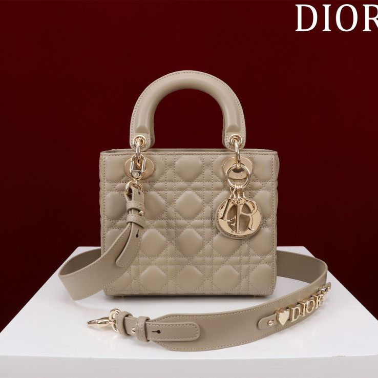 chr1st1an D10r my lady bags